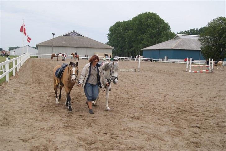 Welsh Pony (sec B) Blanka Graadahl. - STAKKELS MOR! billede 11