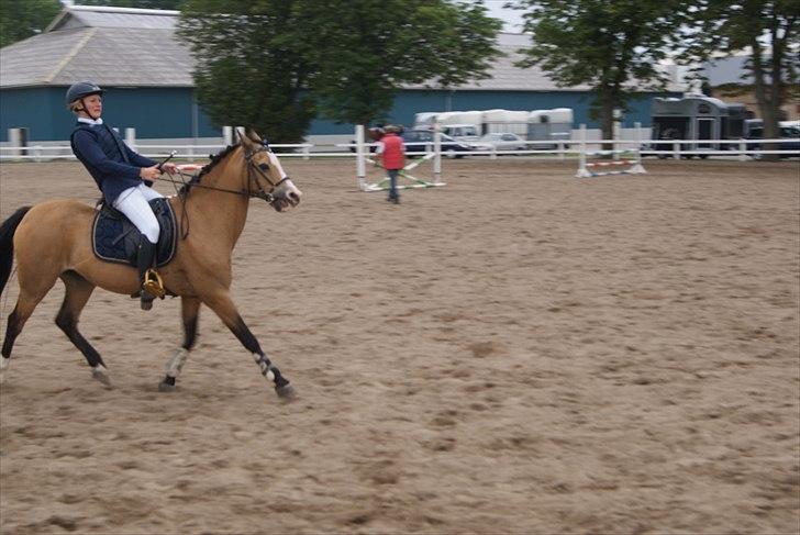 Welsh Pony (sec B) Blanka Graadahl. - LOVE YOU! billede 12