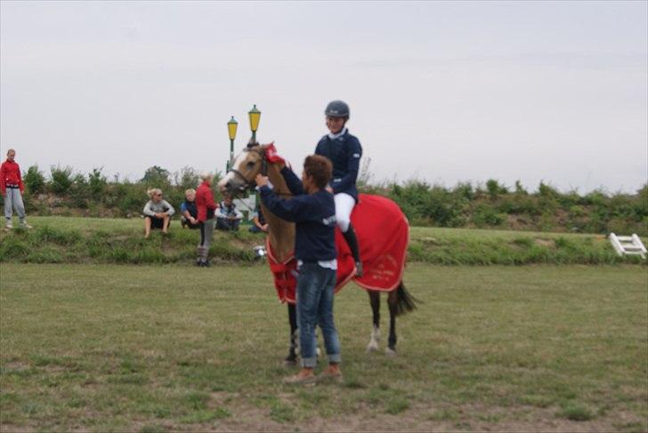 Welsh Pony (sec B) Blanka Graadahl. billede 14