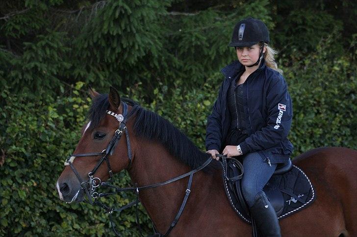 New Forest Bøgelys Rico - Solgt - I love you. <3 billede 7