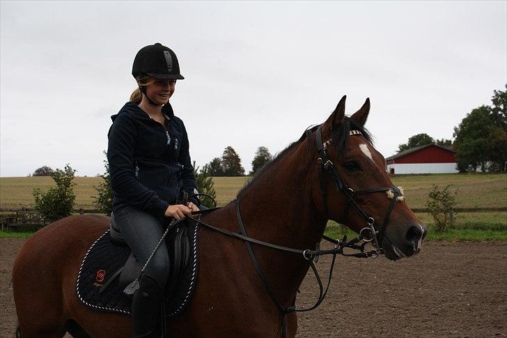 New Forest Bøgelys Rico - Solgt - :* billede 9