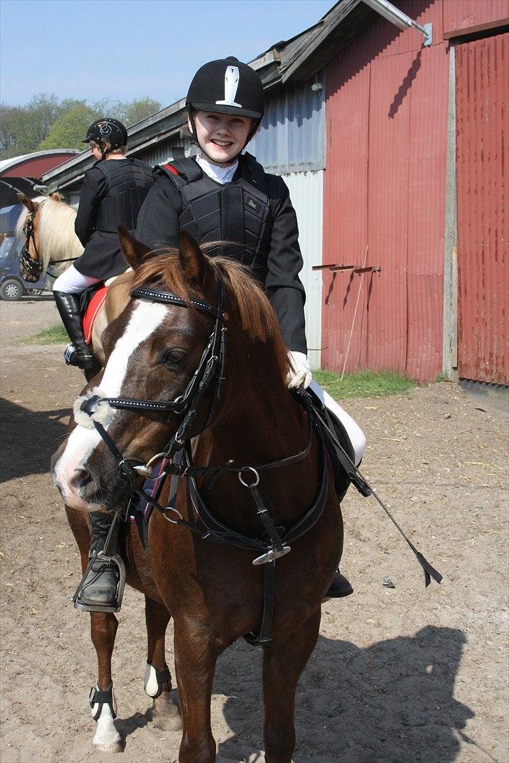 Welsh Pony (sec B) Welsh Glories van Mikkel - NYT: Sønderskov stævne billede 14