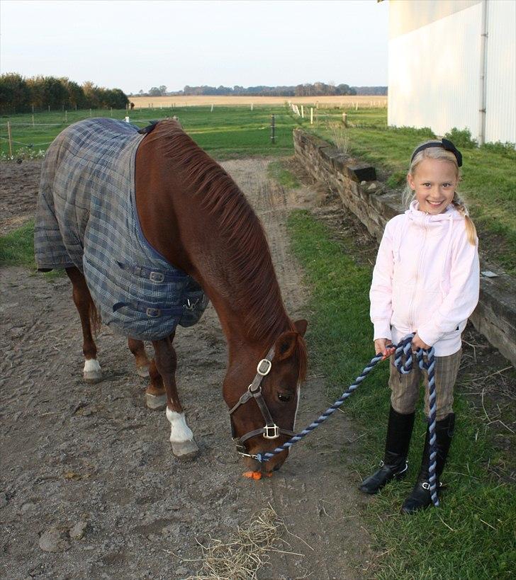 Anden særlig race Lady billede 8