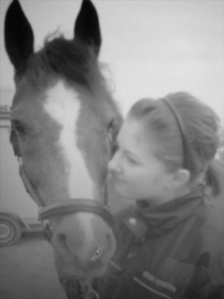 DSP Rob Roy billede 19