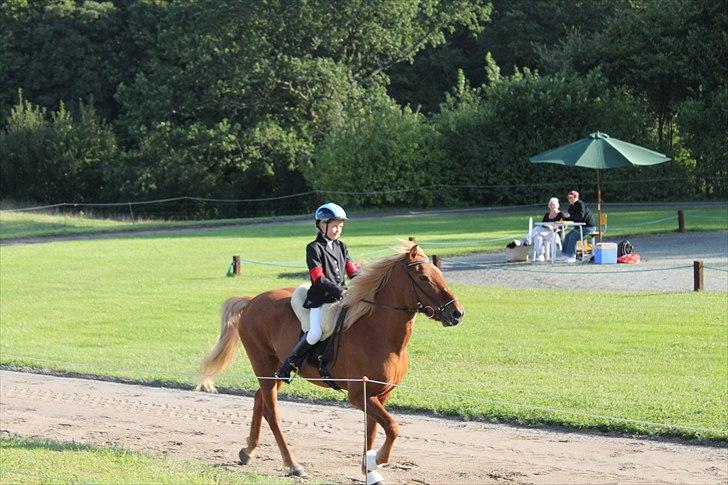 Islænder Perla (Gammel part) billede 9