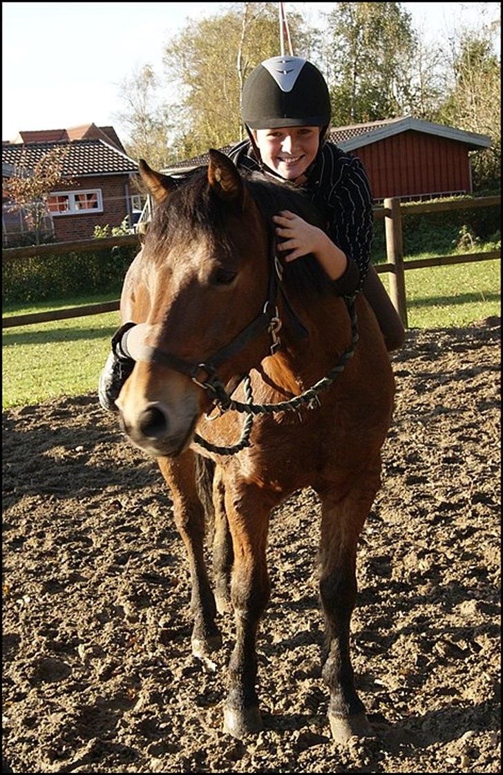 New Forest Luxie - Oktober 2010, hygger :D foto: charlotte billede 10