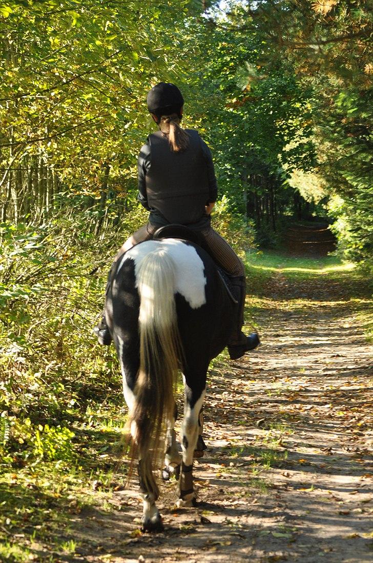 Pinto Melanie - sleep tight :') - Tak for kigget :-D Kom igen en anden gang (-: billede 20