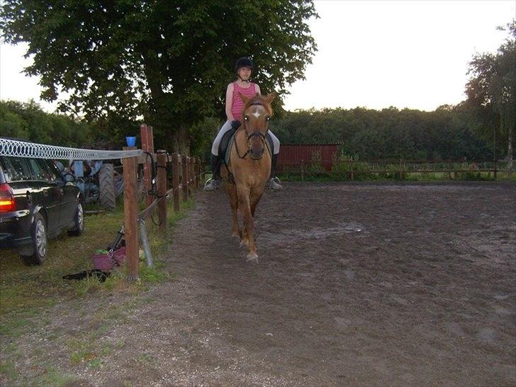 Anden særlig race Zaire *Gamle* - (gamle) og en nybegynder:) billede 2