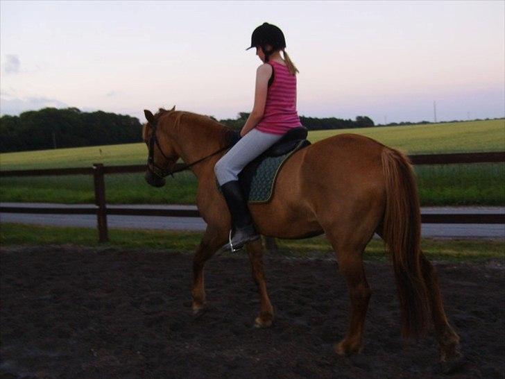 Anden særlig race Zaire *Gamle* - hvor er det dog hårdt at komme igang igen:) billede 5