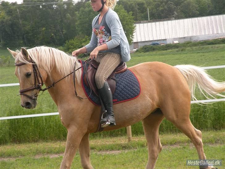 Anden særlig race Rain - Juni 2009. Babara og Rain :) (Har fået lov at bruge dette billede) billede 14