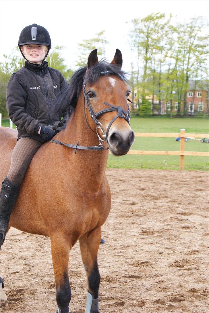 Anden særlig race Flying Coco billede 5