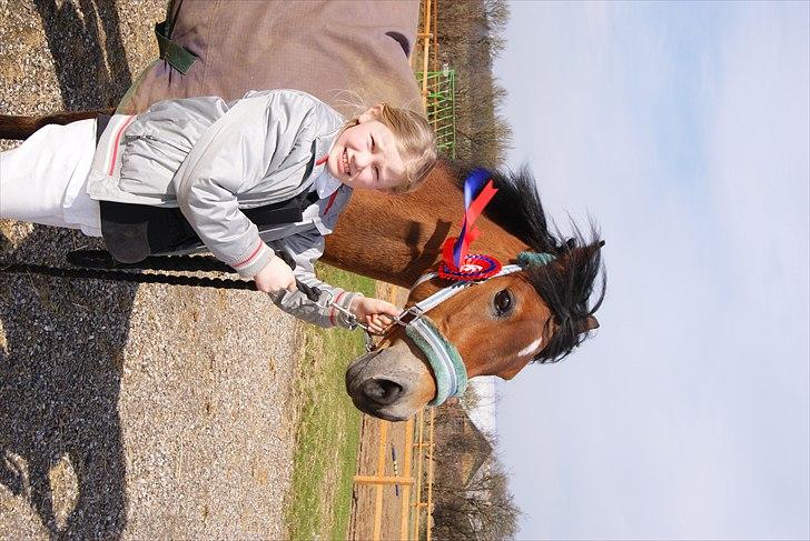 Anden særlig race Flying Coco billede 7