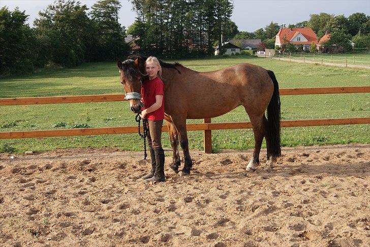 Anden særlig race Flying Coco billede 9