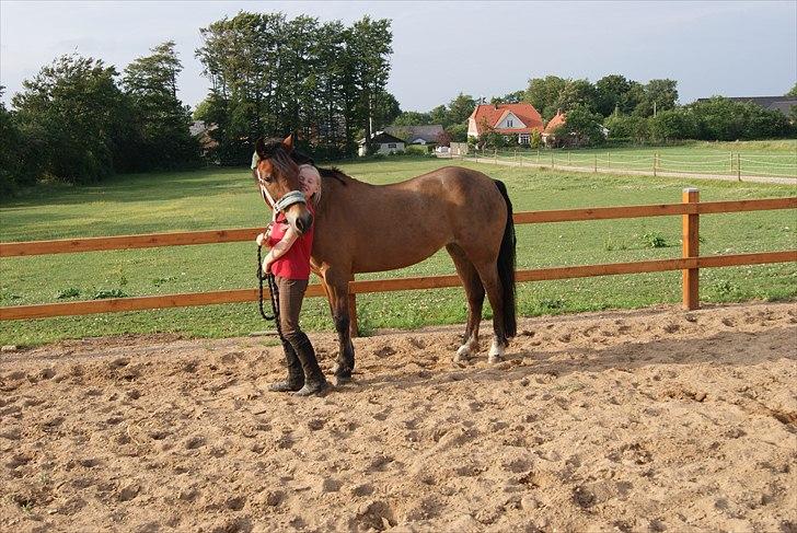 Anden særlig race Flying Coco billede 10