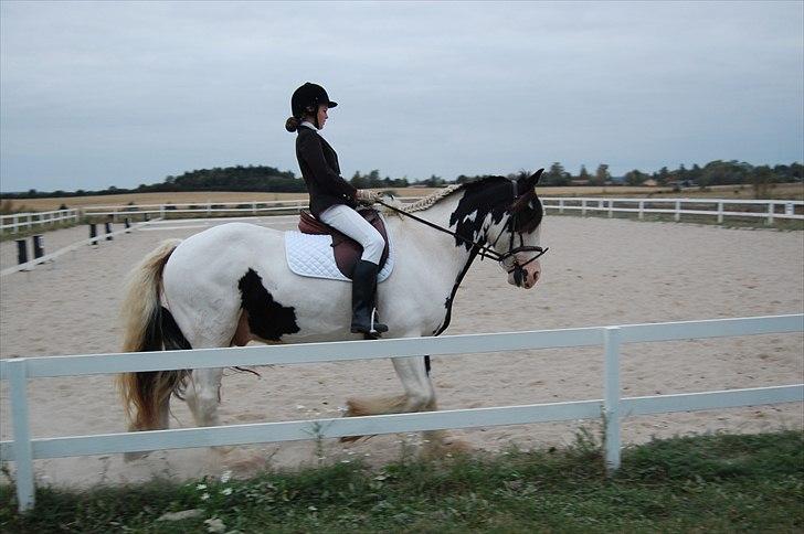 Tinker Sofus - Stævne 2009 .. billede 11
