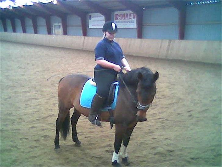 Anden særlig race Chiko * R.I.P * - Et af de sidste ridebilleder fra skive rideklub der blev taget af os :) billede 4