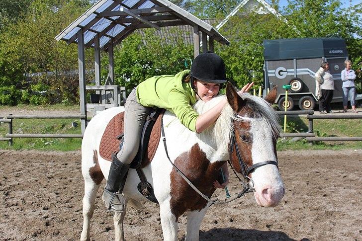 Pinto Blanding Gismoe - #13 Det er sådn et dejligt billede :´) foto:Line Holst Petersen med mit kamera billede 13