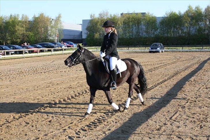 Anden særlig race Sally - Stævne. Foto: Tit Aamann billede 2