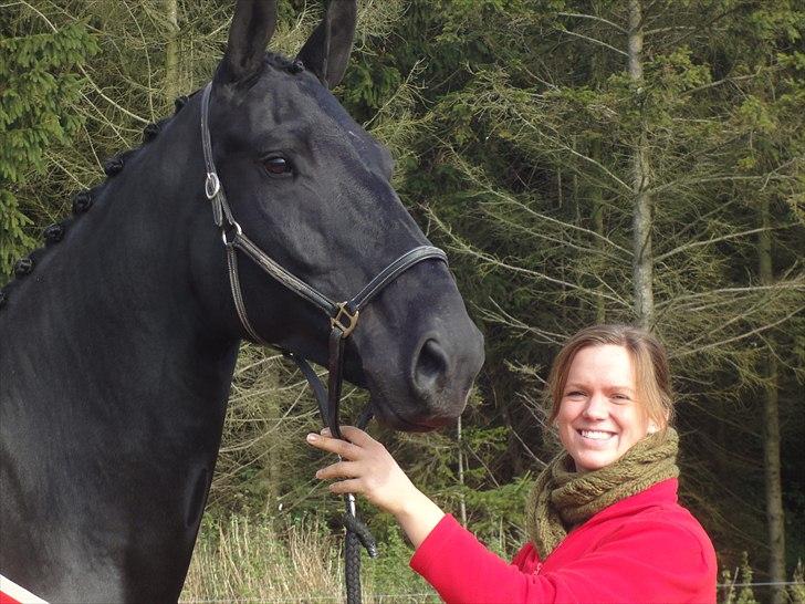 Dansk Varmblod Dénise billede 5