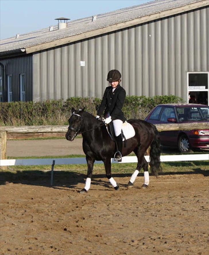 Anden særlig race Sally - Stævne. Foto: Tit Aamann billede 5
