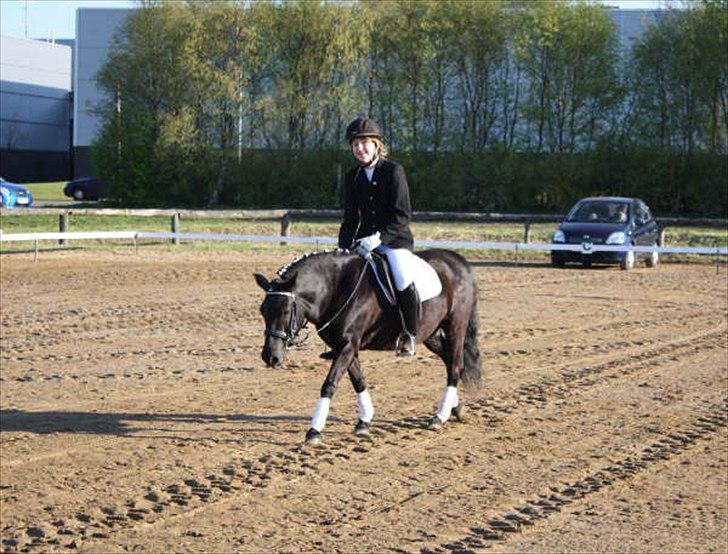 Anden særlig race Sally - Stævne. Foto: Tit Aamann billede 6