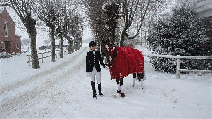 DSP Passion * Palle* - 05-12-10 billede 5