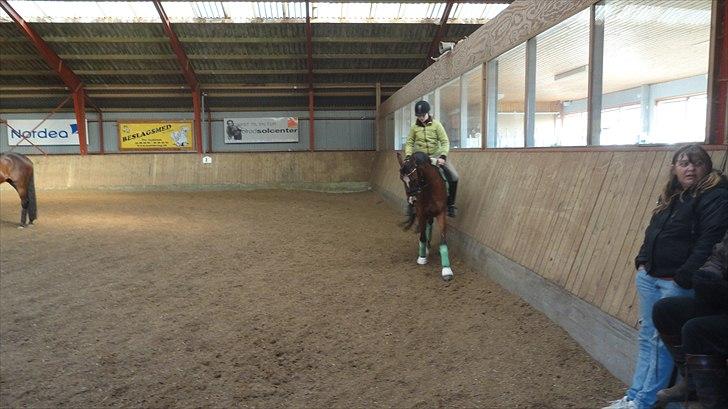 DSP Passion * Palle* - 18-10-10 billede 8