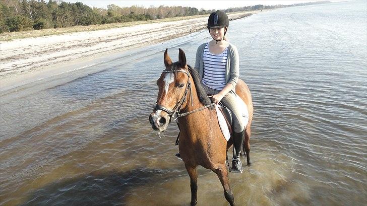 DSP Passion * Palle* - 25-04-11 billede 9