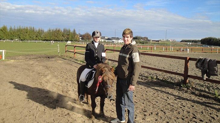 Shetlænder Nørbæks Mio - Materialeprøve 2010 billede 18