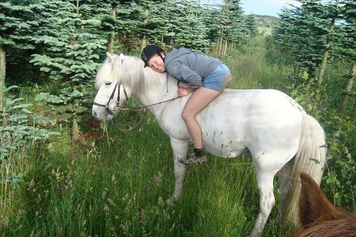 Islænder Ullin - 8 # honeymus. <3 billede 8