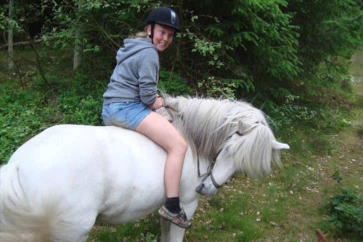 Islænder Ullin - 16 # ahahahahahaha! billede 16