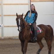 Frederiksborg Zariff