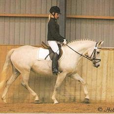 Connemara Elita Nordskov