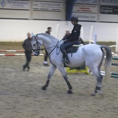 Holstener Capacity Cashmore