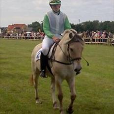 Anden særlig race Cronk - Skolehest