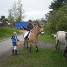 Anden særlig race bispevangens tyson