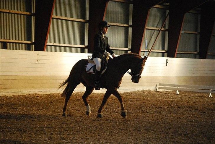 DSP Dalagergårds I-Do - dressur stævne i KRK du var dejlig<3 billede 11