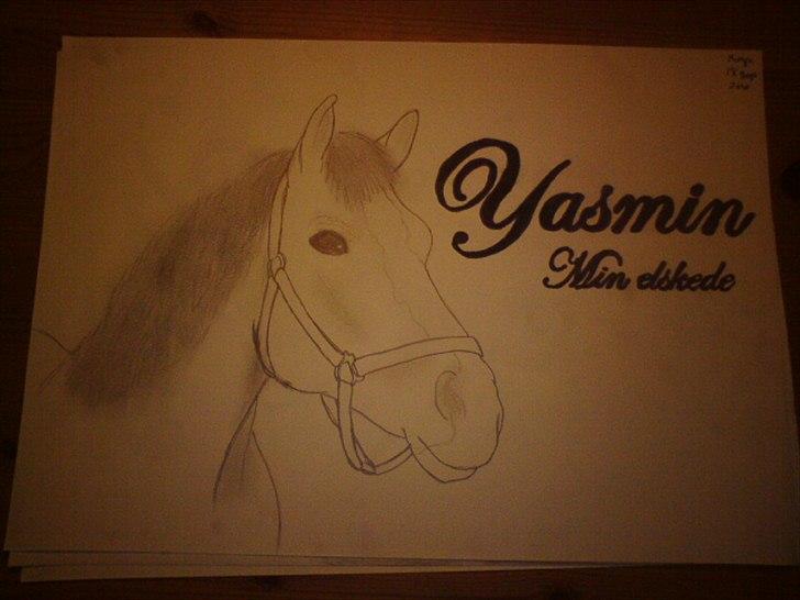Haflinger Yasmin *min engel* Solgt :(  - Jeg har tegnet et billede af MIN engel! <3 billede 18