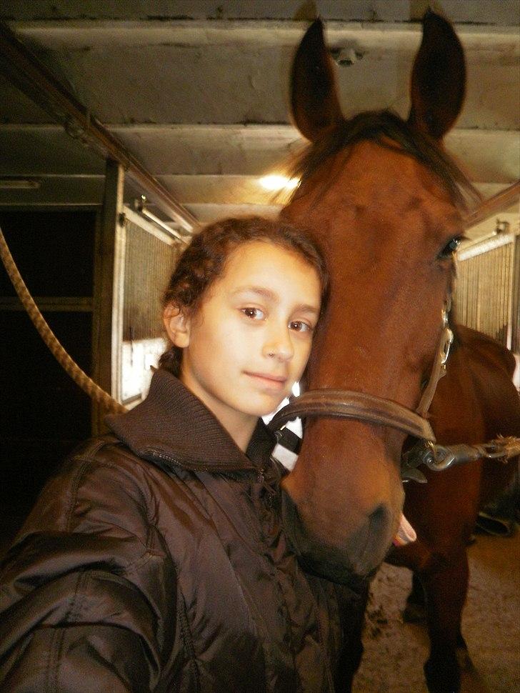 Hollandsk Sportspony Timon R.I.P. I love u!!!! - true love!!! foto: mig billede 7