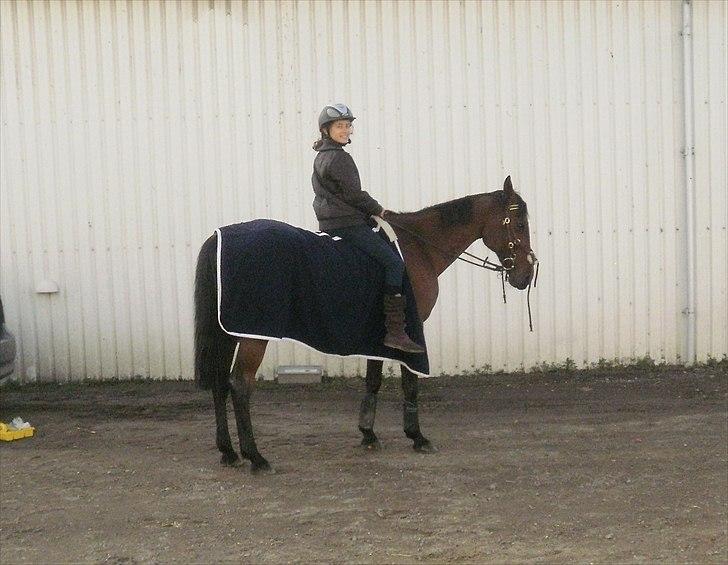 Hollandsk Sportspony Timon R.I.P. I love u!!!! - skridter af... derfor er hovetøjet bundet op ;) Foto: Celine billede 15