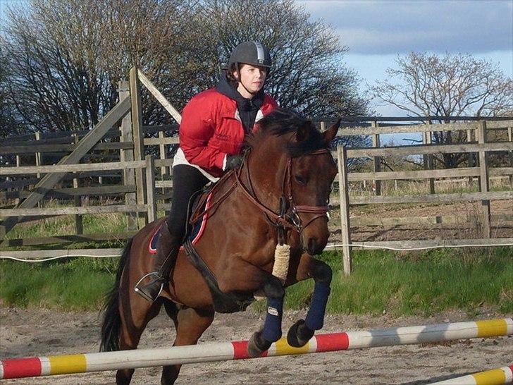 Hollandsk Sportspony Timon R.I.P. I love u!!!! - med tidligere ejer :) foto: ? billede 18