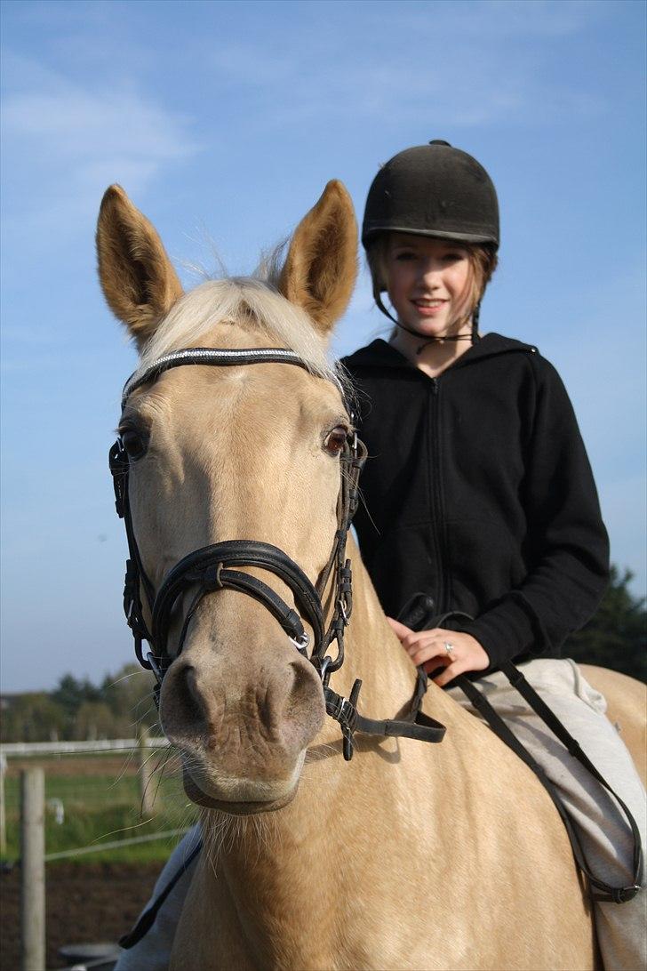 Palomino Cibelle - JEg ved godt jeg ser dum ud på alle billederne, men altså, cibelle ligner en drøm! <3 billede 15