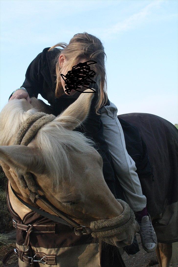 Palomino Cibelle - Dage uden dig er dage uden håb, men et liv uden dig ville være ingen ting! <3 billede 18