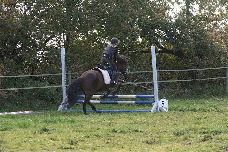 New Forest Bakkegårdens Pink Aline  - 13*40cm billede 13