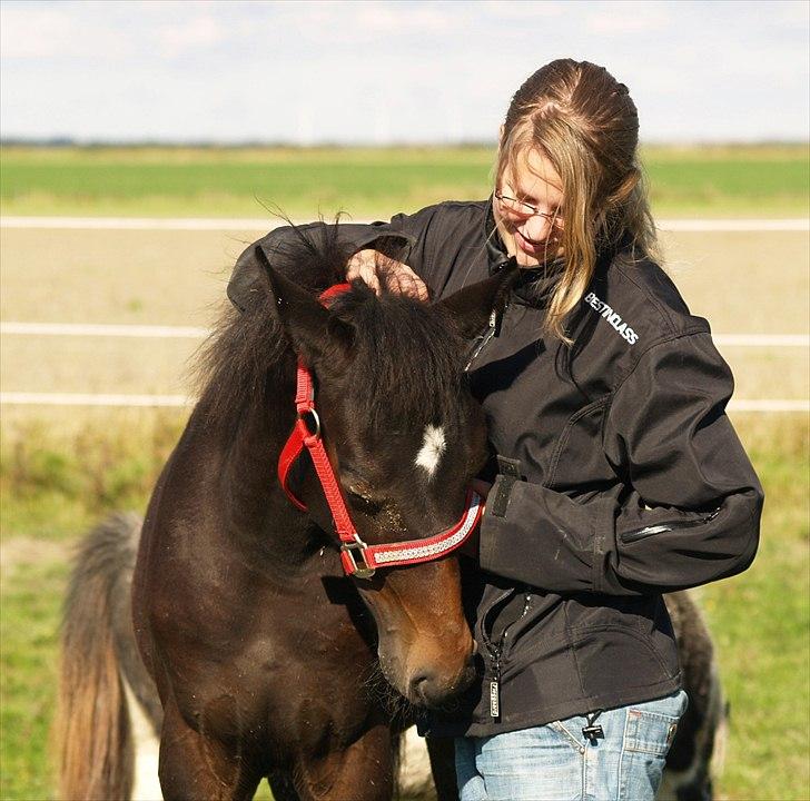 Anden særlig race Morgan - Foto: Marianne Nyborg billede 10