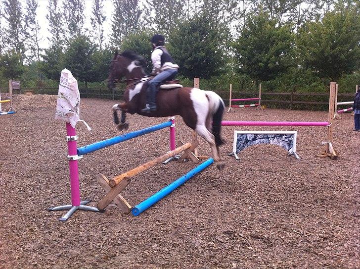 Anden særlig race Dakar Bækbo - Ups! :. hehe , ikke så godt billede :D  Rigmor og Dakar... billede 8