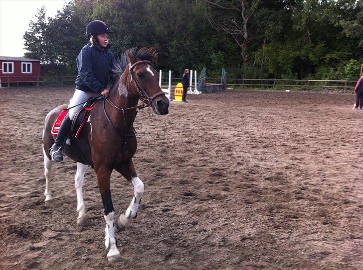 Anden særlig race Dakar Bækbo - Min søster (Rigmor) og Dakar, stævne billede 9