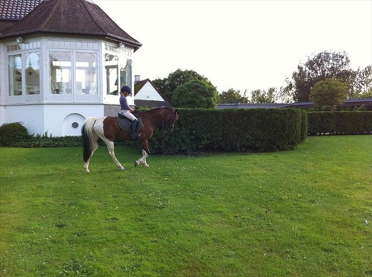 Anden særlig race Dakar Bækbo - Min lillesøster og Dakar rider i haven :D billede 10