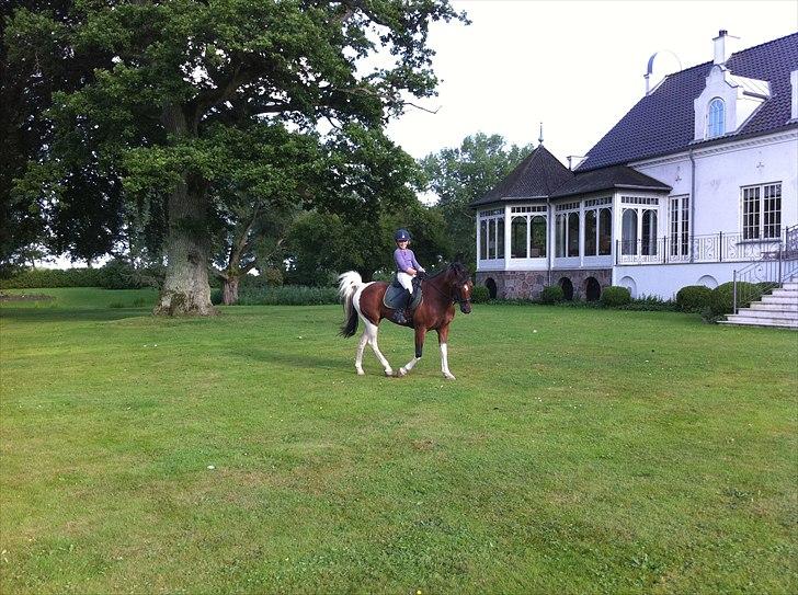 Anden særlig race Dakar Bækbo - Ridning i haven :D Dakar og Rigmor (min søster) billede 11