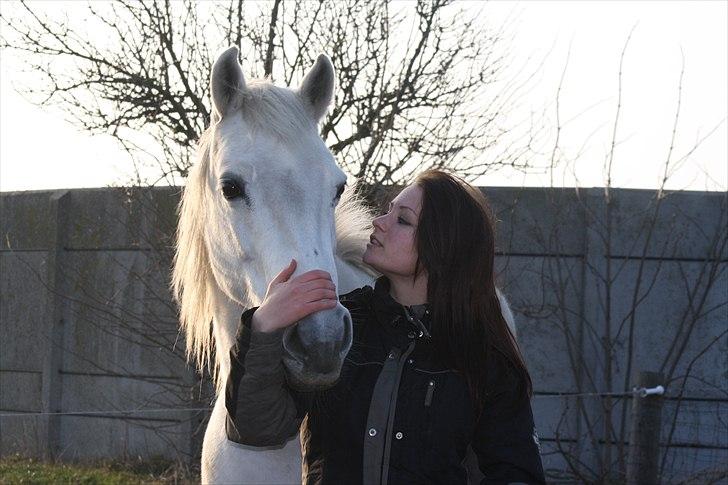 Anden særlig race smilla englehesten<3 R.I.P<3 - smukke smilla og min søster:* billede 9